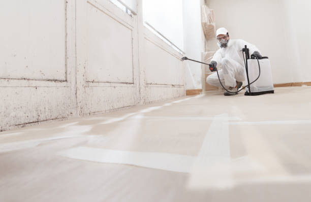 24/7 Emergency Crawl Space Mold Remediation experts in Houston, PA